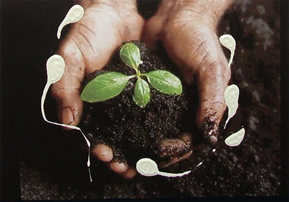 Senza trucco performance