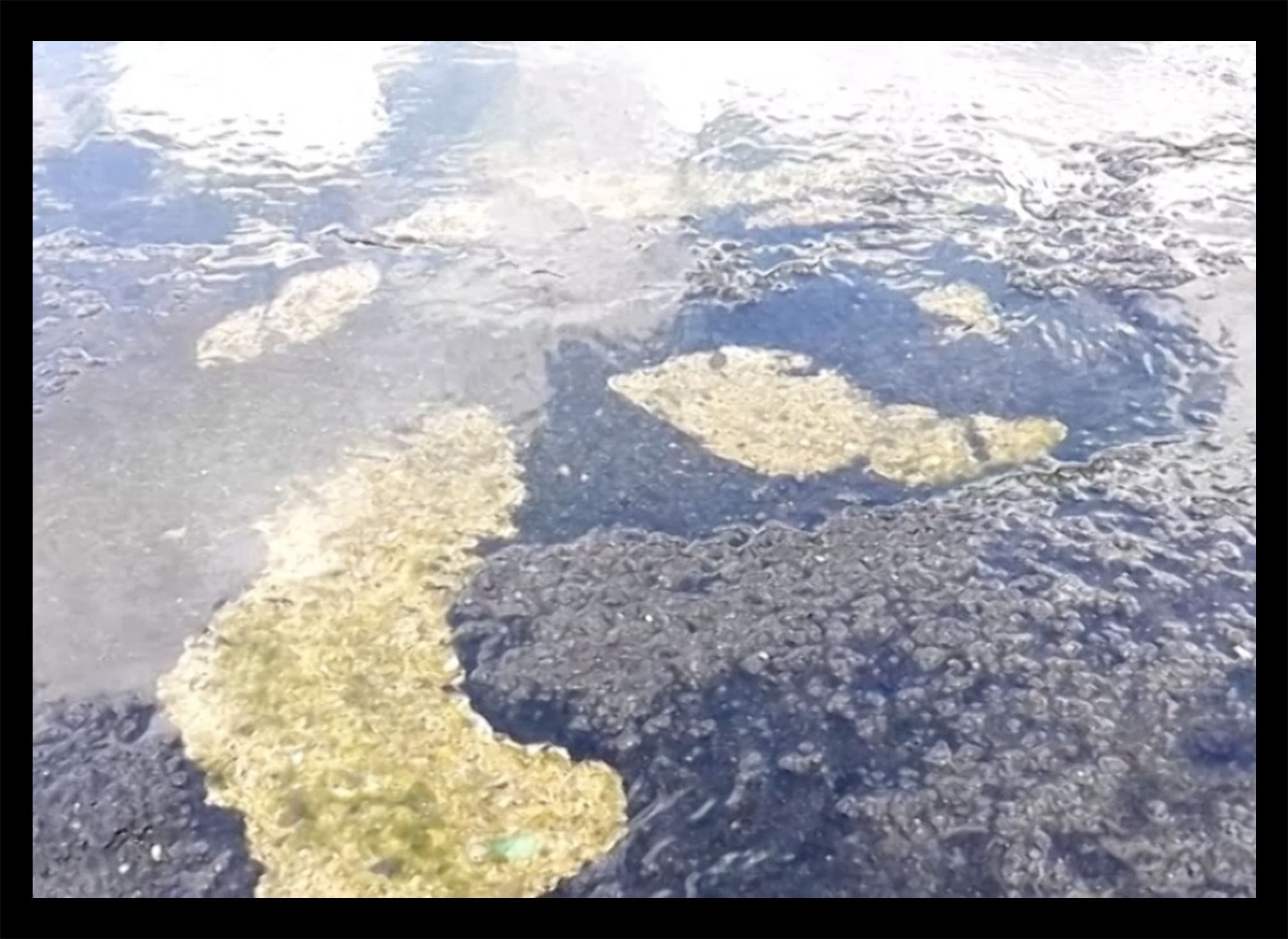 All’origine la quadratura del cerchio performance