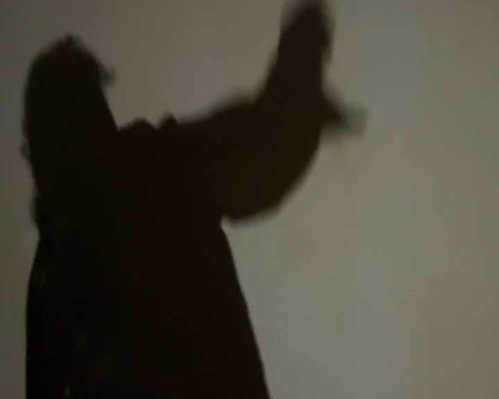 Immagine sezione testo