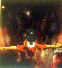 PINOCCHI ONEL PAESE DEI BALOCCHI, olio e spatola su tavola, 32x36, 2002